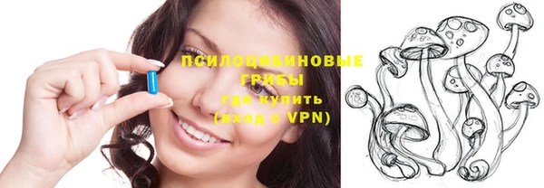 ГАЛЛЮЦИНОГЕННЫЕ ГРИБЫ Михайловск