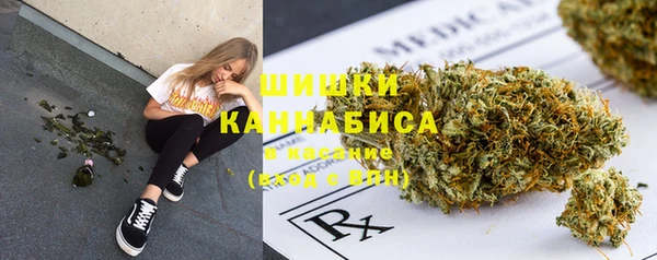 ГАЛЛЮЦИНОГЕННЫЕ ГРИБЫ Надым