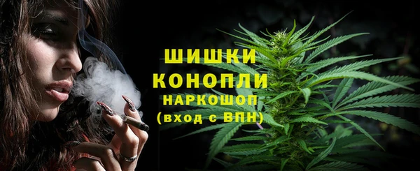 сатива Балахна