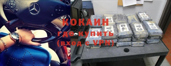 ГАЛЛЮЦИНОГЕННЫЕ ГРИБЫ Надым