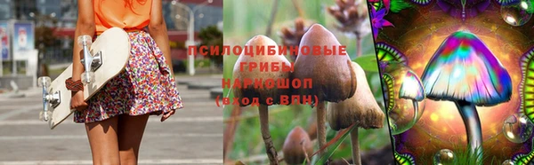 СК Нефтегорск