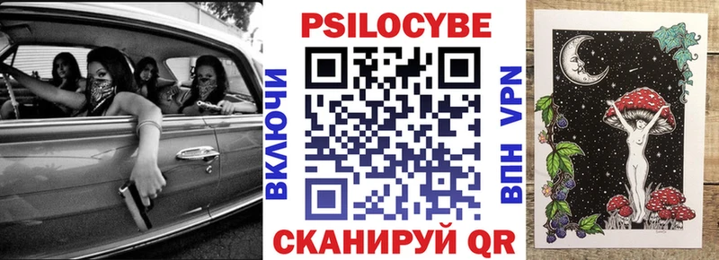 Псилоцибиновые грибы мухоморы  купить наркотики цена  Курчатов 