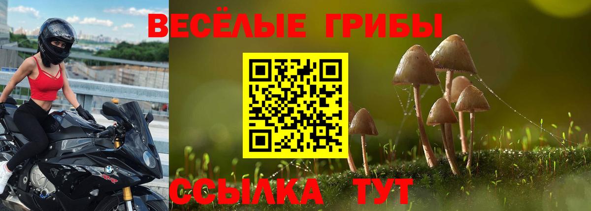 наркошоп  Вход с VPN  Курчатов  Псилоцибиновые грибы MAGIC MUSHROOMS 